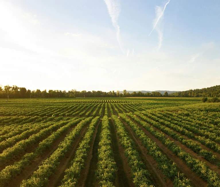 Shipping and logistics are the lifeblood of international trade and commerce. They involve the planning, execution, and management of the movement of goods from one point to another—whether by sea, air, land, or multimodal transport.