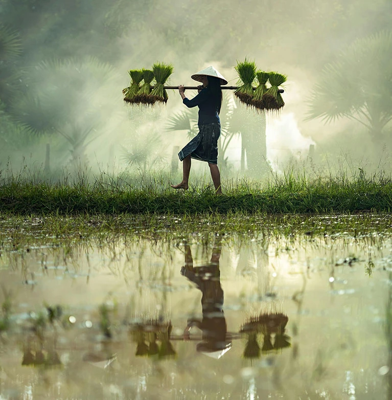 In the global marketplace, the success of an export business depends greatly on the ability to identify, attract, and effectively manage reliable international buyers.