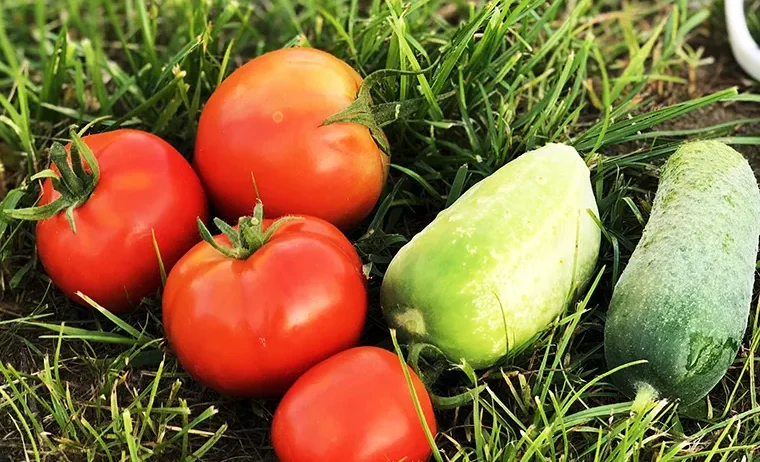 The global export market is the backbone of international trade and a major driver of global economic growth. Every day, trillions of dollars’ worth of goods and services cross international borders — from crude oil and liquefied natural gas to agricultural commodities, minerals, and manufactured products.