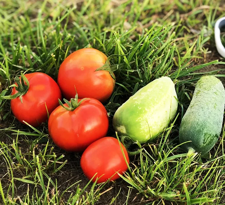 The global export market is the backbone of international trade and a major driver of global economic growth. Every day, trillions of dollars’ worth of goods and services cross international borders — from crude oil and liquefied natural gas to agricultural commodities, minerals, and manufactured products.