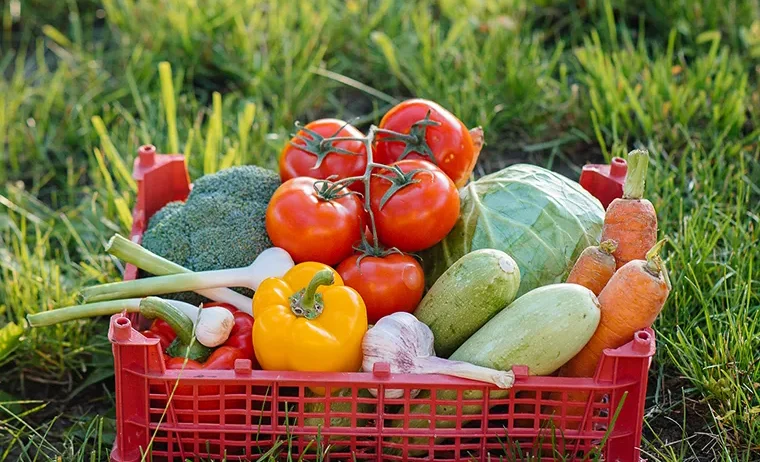 The export business is one of the most lucrative sectors in global trade, offering vast opportunities for entrepreneurs who wish to connect local products with international markets.