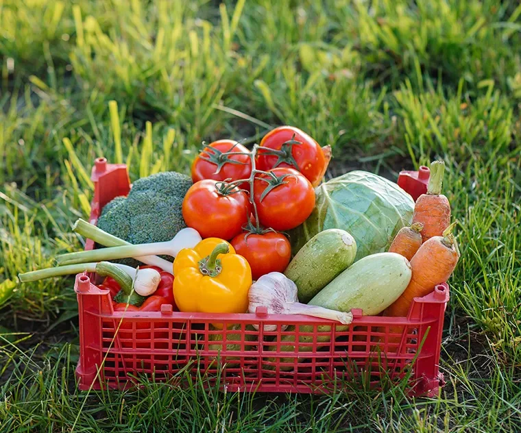 The export business is one of the most lucrative sectors in global trade, offering vast opportunities for entrepreneurs who wish to connect local products with international markets.