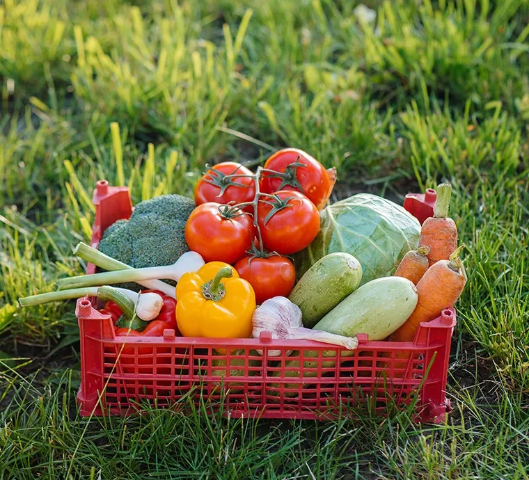 The export business is one of the most lucrative sectors in global trade, offering vast opportunities for entrepreneurs who wish to connect local products with international markets.